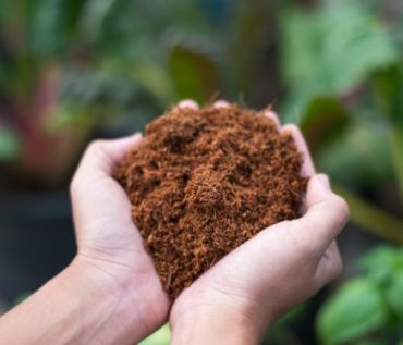 coconut coir fiber