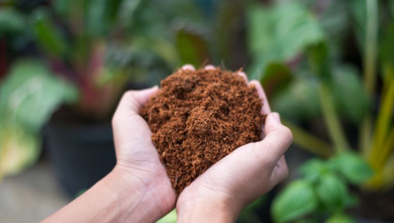 coconut coir fiber