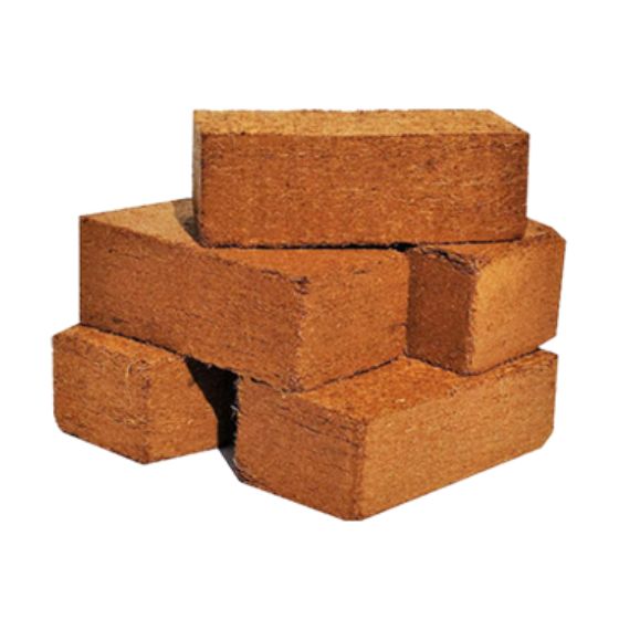 Ceymate Export